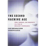 The Second Machine Age 9780393239355