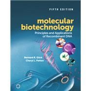 Molecular Biotechnology 9781555819361