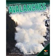 Avalanches 9781617839368