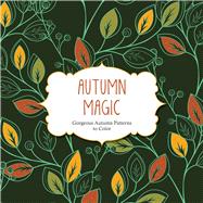 Autumn Magic 9781438009384