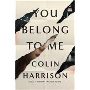 You Belong to Me A Novel 9780374299477