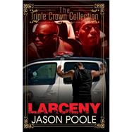 Larceny 9781622869497
