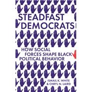 Steadfast Democrats 9780691199511