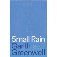 Small Rain