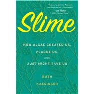 Slime 9780358299561