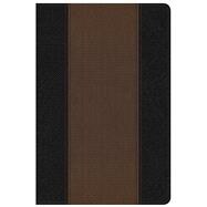 Summary Bible, KJV Edition, Black/Brown LeatherTouch 9780805489576