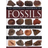 The Illustrated Handbook of Fossils 9780754829591