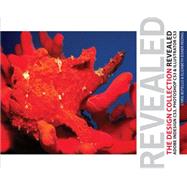 The Design Collection, Revealed: Adobe Indesign CS3, Photoshop CS3, and Illustrator CS3 (Book with CD-ROM) 9781428319622