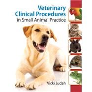 Veterinary Clinical Procedures In Small Animal Practice 9781435469624