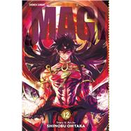 Magi: The Labyrinth of Magic, Vol. 12 The Labyrinth of Magic 9781421559629