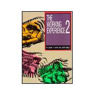 Working Experience 2