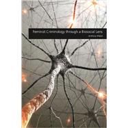 Feminist Criminology Through a Biosocial Lens 9781594609664
