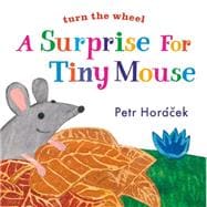A Surprise for Tiny Mouse 9780763679675