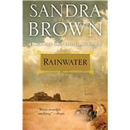 Rainwater 9781501199677