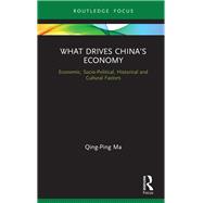 What Drives China's Economy 9780367179755