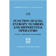 Function Spaces, Entropy Numbers, Differential Operators