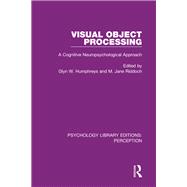 Visual Object Processing