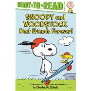 Snoopy and Woodstock 9781534409767