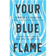 Your Blue Flame 9780310349778