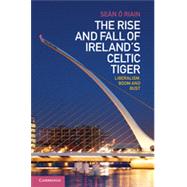 The Rise and Fall of Ireland's Celtic Tiger 9781107009820
