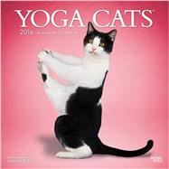 Yoga Cats 2016 Calendar 9781465039842