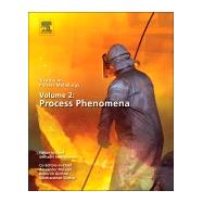 Metallurgical Process Technology : Ferrous, Non-Ferrous, Refractory-, Reactive- and Aquaeous Processing 9780080969848