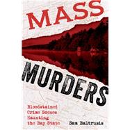 Mass Murders 9781493049868