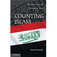 Counting Islam 9781107009875
