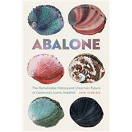 Abalone