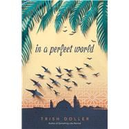 In a Perfect World 9781481479899