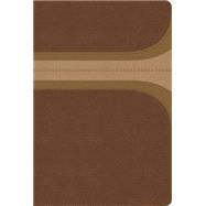RVR 1960 Biblia de Estudio Arco Iris, canela/damasco, símil piel 9781586409906