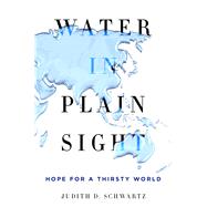 Water in Plain Sight Hope for a Thirsty World 9781250069917