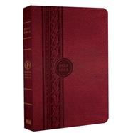Holy Bible: Modern English Version, Cranberry, Thinline Reference Bible 9781621369950