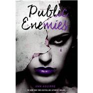 Public Enemies 9781250079954
