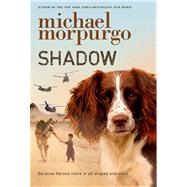 Shadow 9781250039965