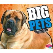 Big Pets