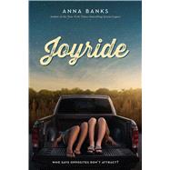 Joyride 9781250079985