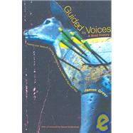Guided by Voices: A Brief History Twenty-One Years of Hunting Accidents in the Forests of Rock and R