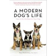 A Modern Dogs Life How to Do the Best for Your Dog