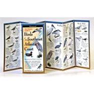 Birds of the Southeast Atlantic Coast: Folding Guide
