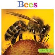 Seedlings Bees