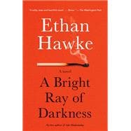 A Bright Ray of Darkness A novel