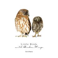 Little Birds with Broken Wings