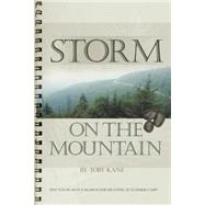 Storm on the Mountain : One Young Man's Search for Meaning at Summer Camp