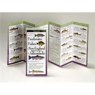 Ultimate Guide to Freshwater Fishes of New England and Adirondacks