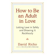 How to Be an Adult in Love Letting Love in Safely and Showing It Recklessly