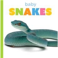 Baby Snakes