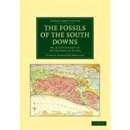 The Fossils of the South Downs