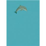 Dolphin Journal