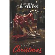 A Special Christmas